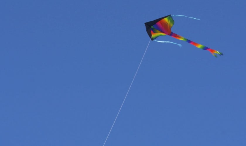 Say no to flying kites!