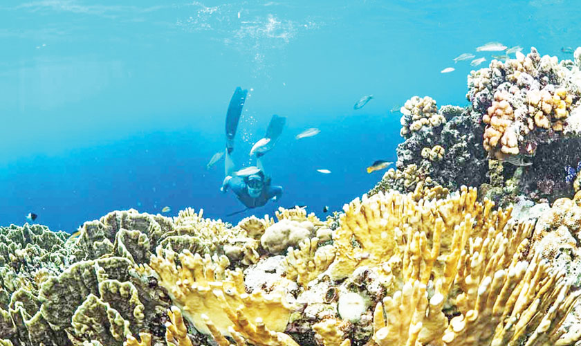 Exploring Saudi Arabia