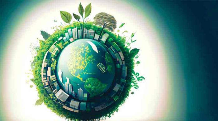 Baku to Belem: roadmap for climate finance