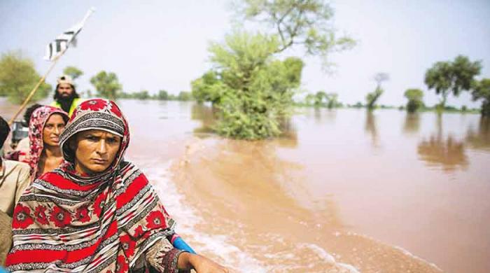 The business case for sustainability