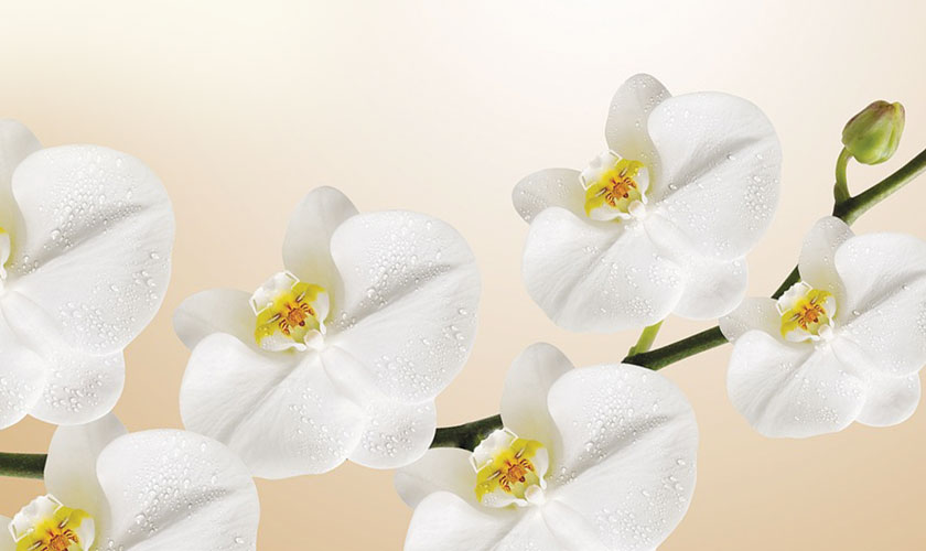 Maturity has no age – it has scars