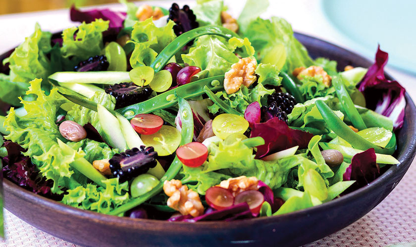 Your organs and the nutrition they need