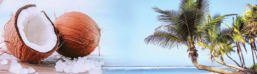 A coastal treasure waiting to be discovered