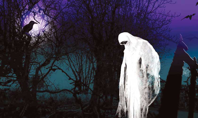 The revenge of the rui Part 2