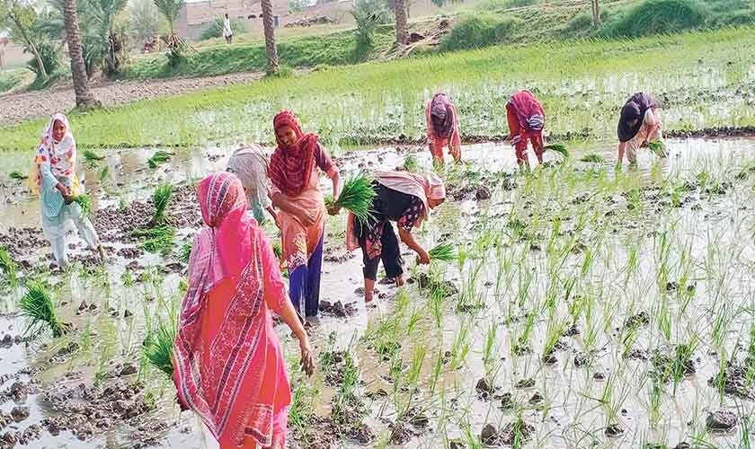 The unseen engine of our economy