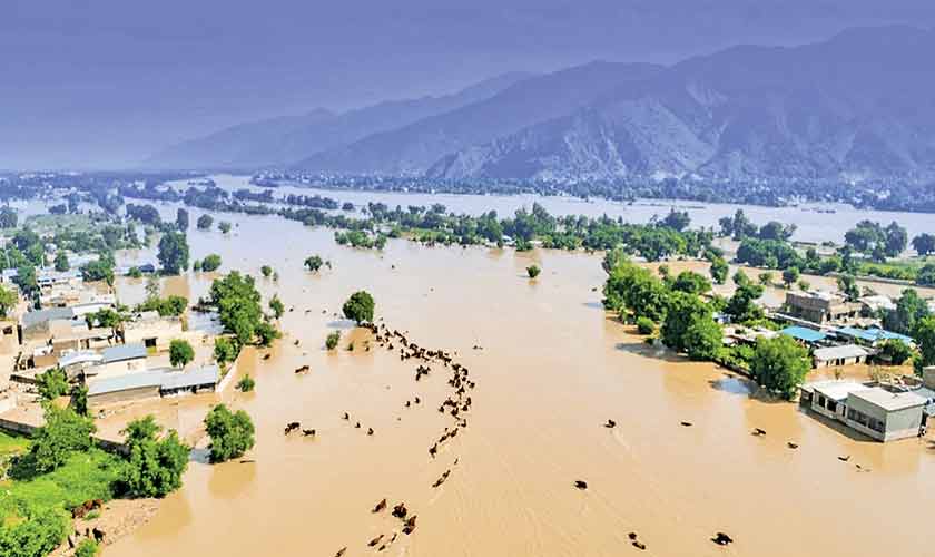 DROWNING IN NEGLIGENCE