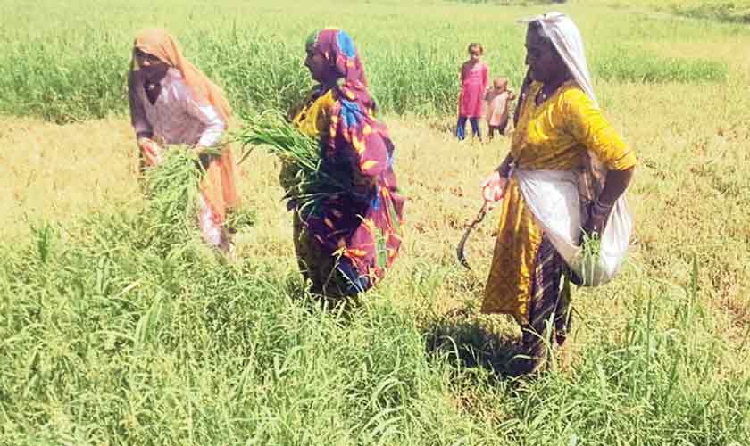 The unseen engine of our economy