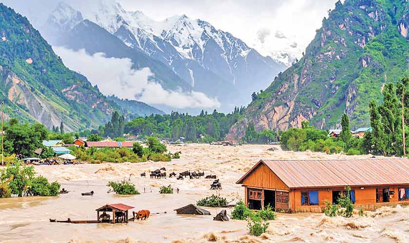 DROWNING IN NEGLIGENCE