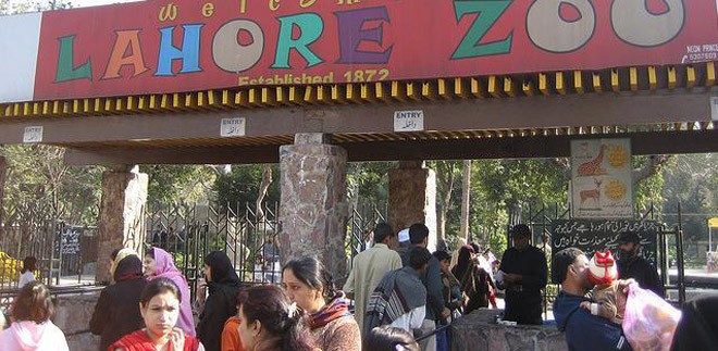 A case for Lahore Zoo