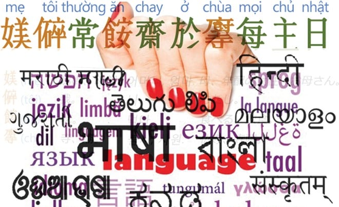 The language link