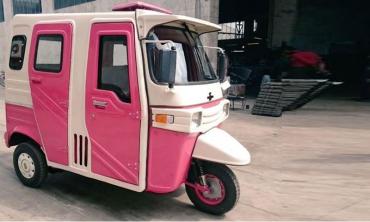 Say no to pink rickshaws, please!