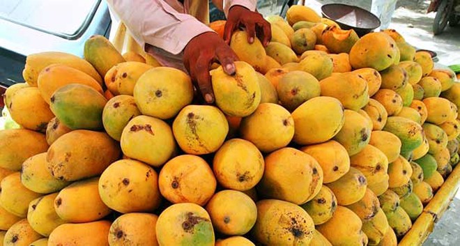 Pakistani mango sweetens world markets