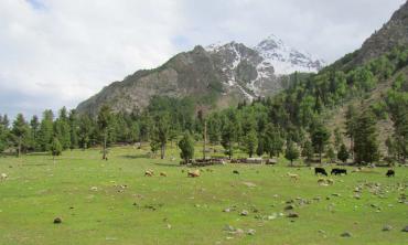 A lift to Naltar 