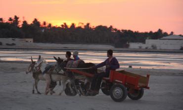 Donkey-carts: Wheels of labour