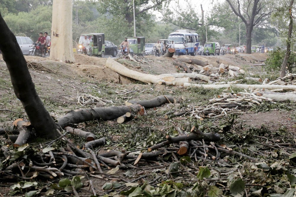 Moving back to the city