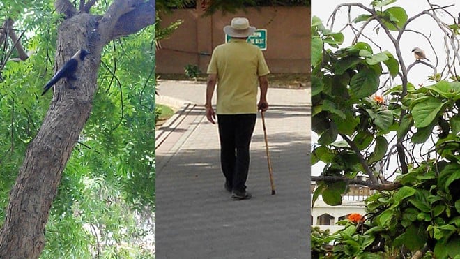 While I take my morning walk...