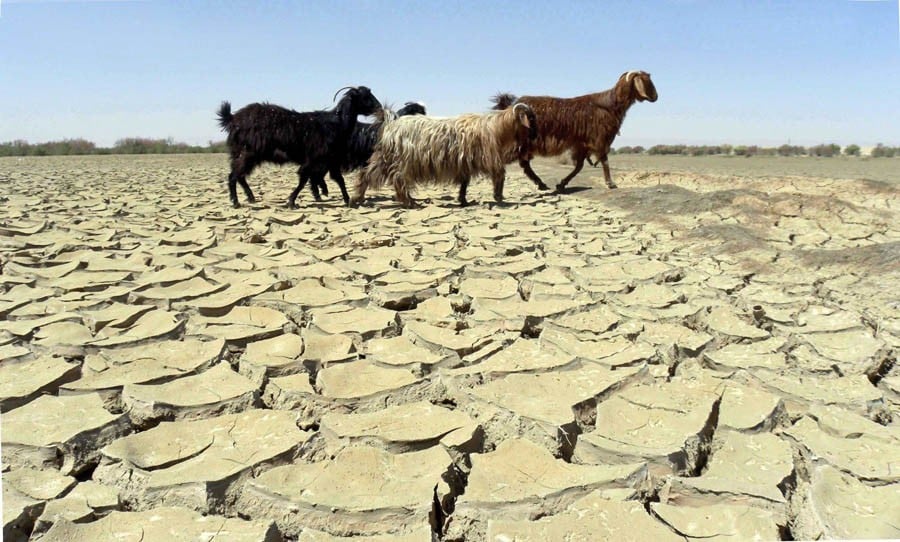 Of 18 drought-hit districts