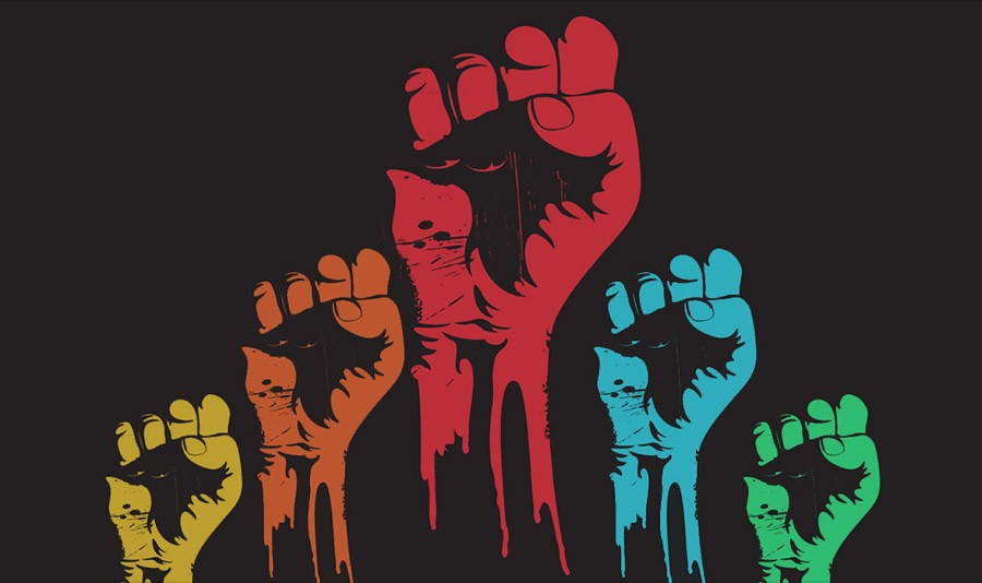 Human rights and  democratic participation