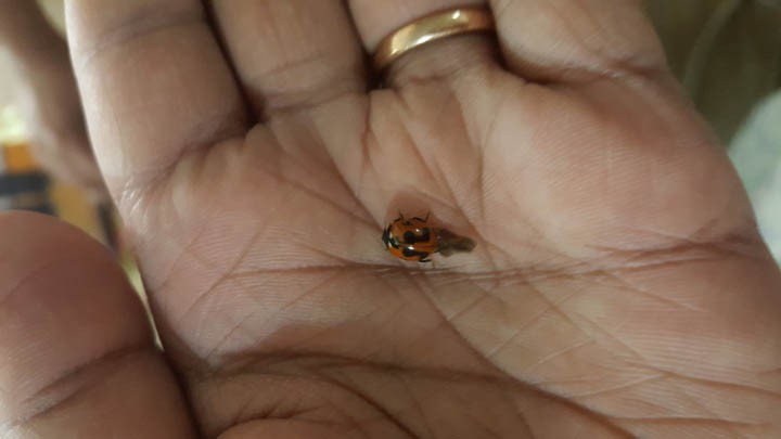 Invisible conversations 