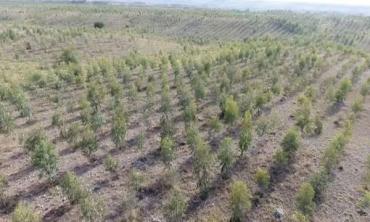 Delivering on climate action