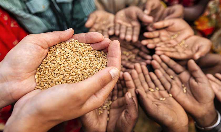 No end to hunger by 2030 | Political Economy | thenews.com.pk