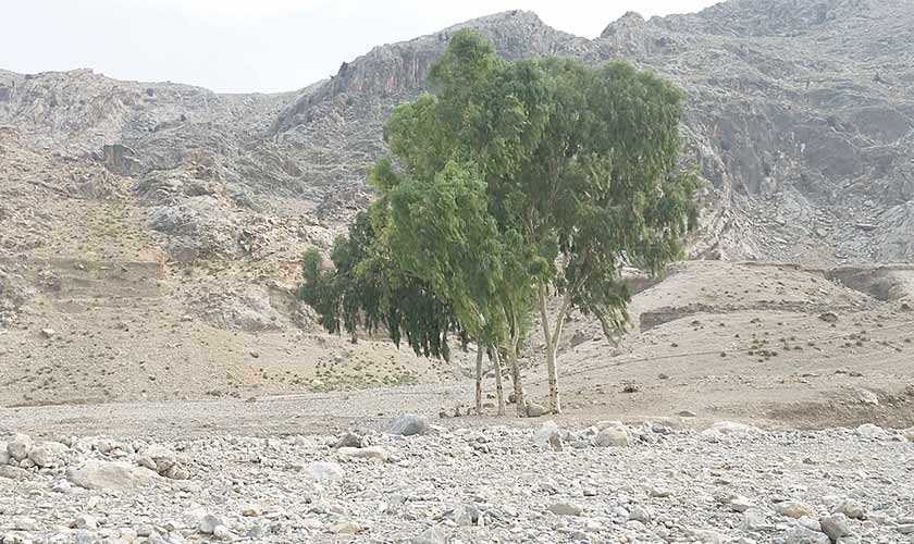 Across the  Durand Line – II