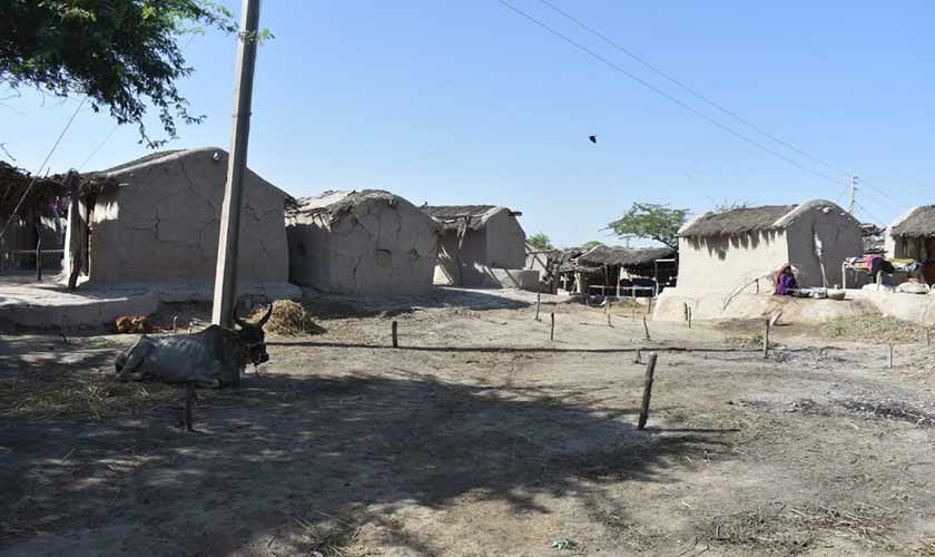 Tales from the coast