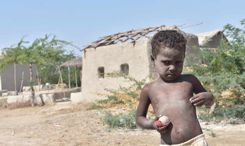 Tales from the coast