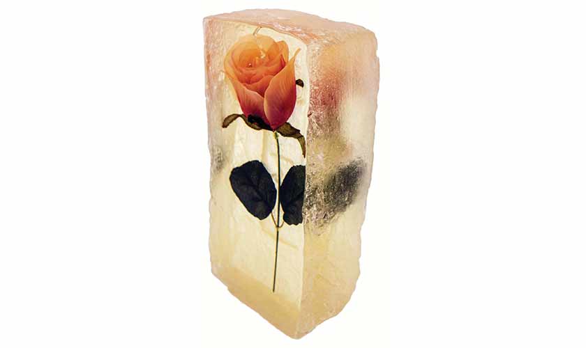 Abida Dahri’s Rest in Peace: Artificial Rose, in epoxy resin.