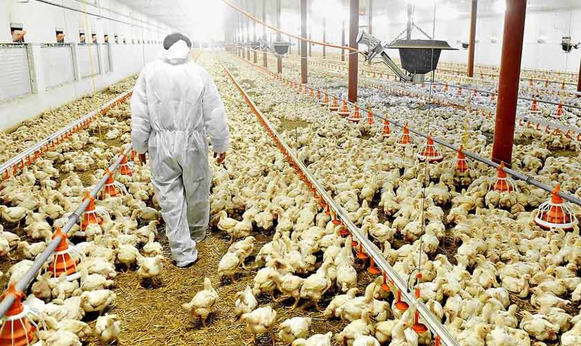 Success through hard work