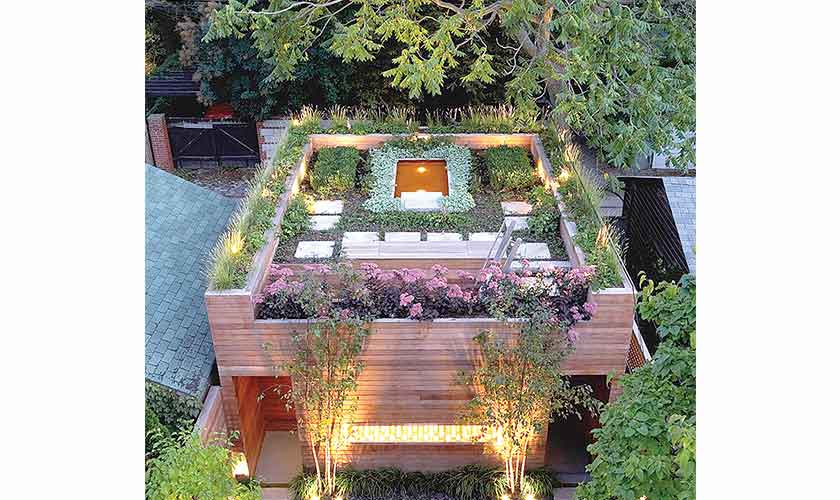 Green roofs are becoming increasingly popular the world over. — Images: Web