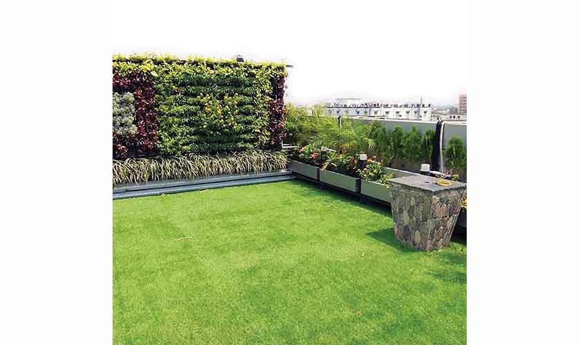 Running for green cover