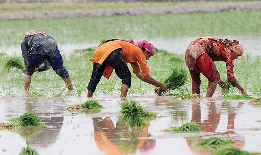 For a sustainable future