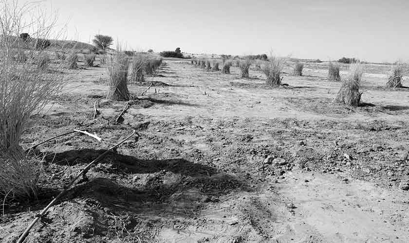 Invest in barren lands