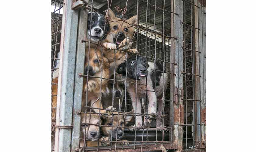 The Tollin’ton hell