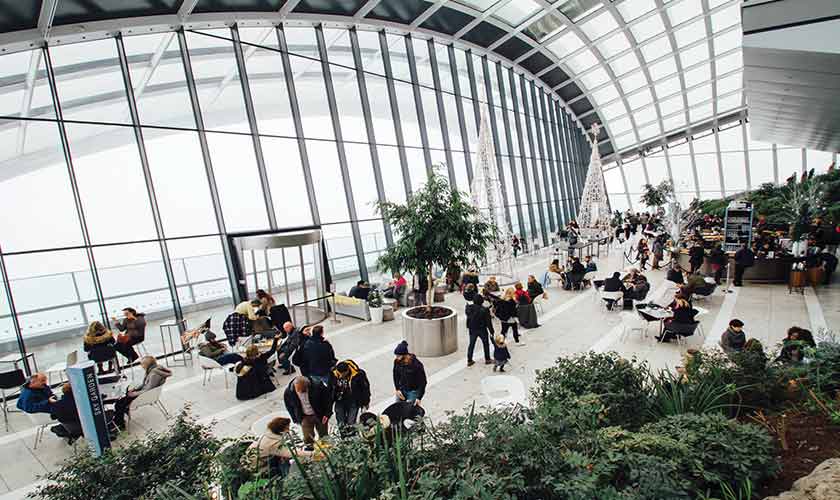 Ricardo — Airport view.