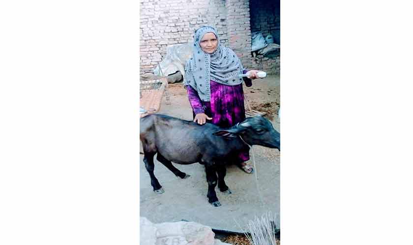 Taking age out of the education equation