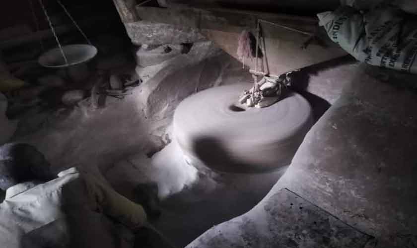 On the verge of extinction