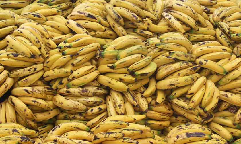 Making sense of banana republics