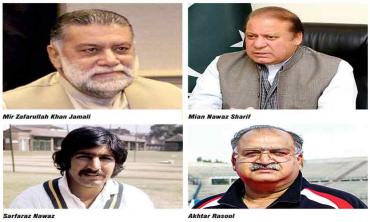 From playing field to parliament: Pakistani sportsmen in politics