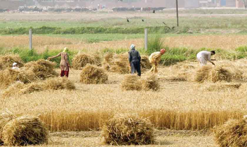 Giving agriculture credit