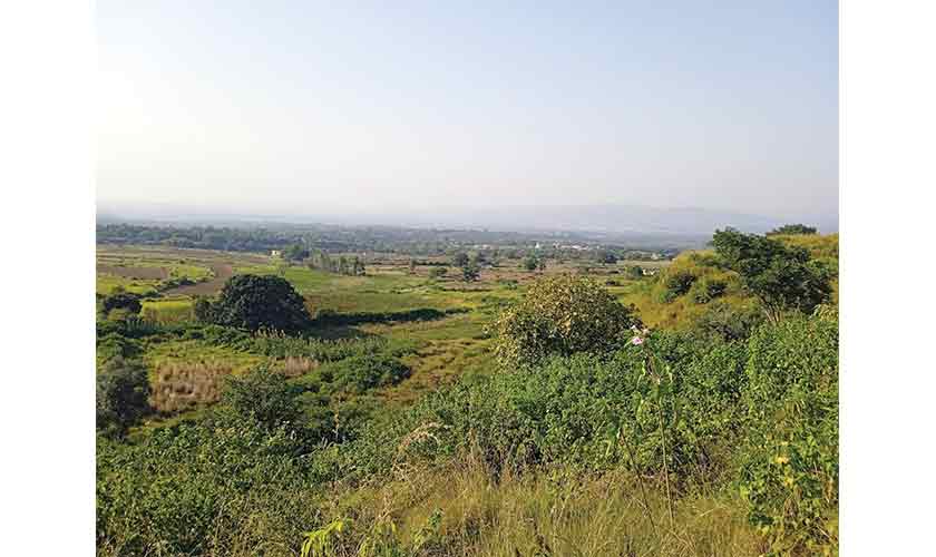 Highway through gloom
