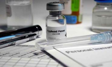 The typhoid scare