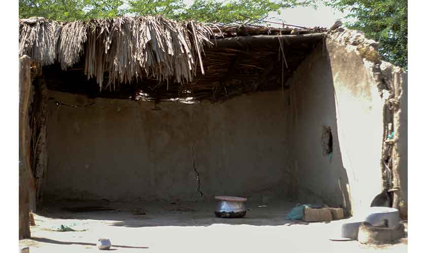 Struggling to survive