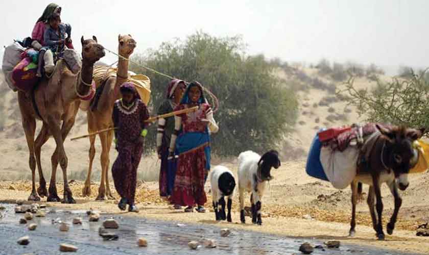 Paradigm shift in Sindh’s climate action