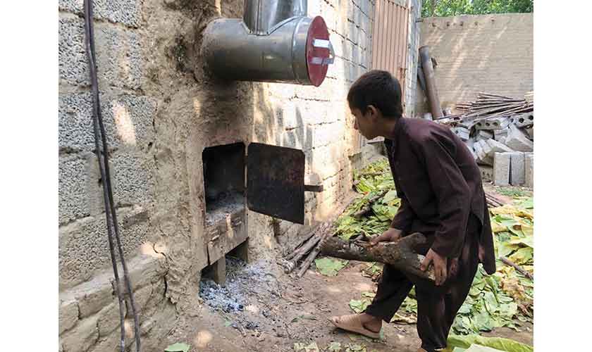 On tobacco fields, all work and no play