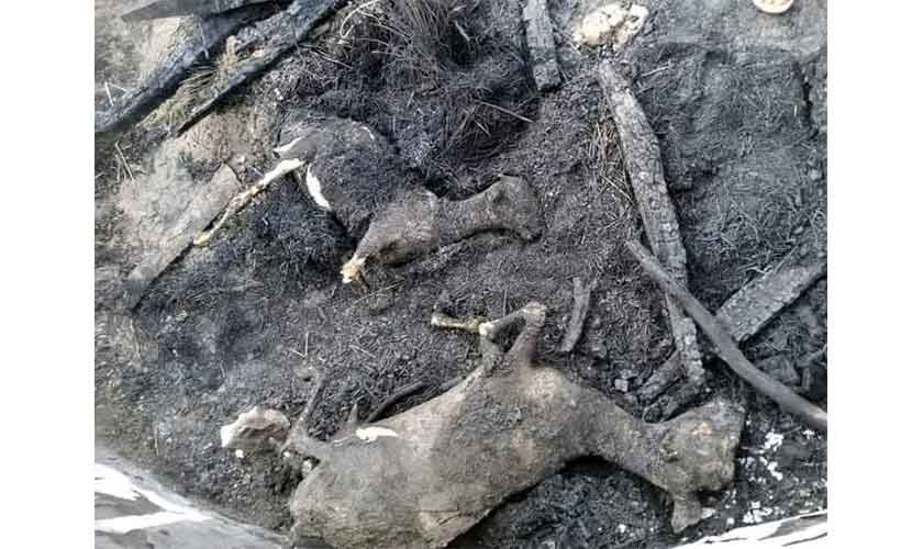 Shifting weather patterns