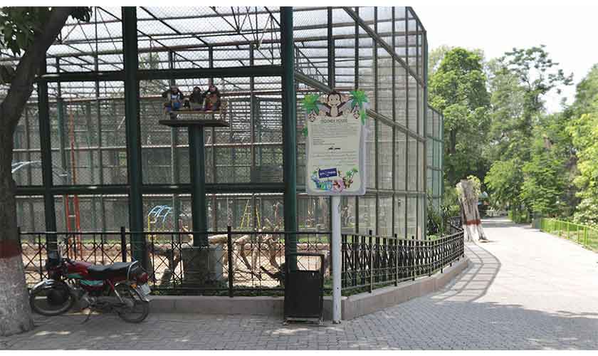 “The monthly rent of three big cages will be Rs 50,000 each. The total rent of 18 small cages will be Rs 75,000.” — Photos by Rahat Dar