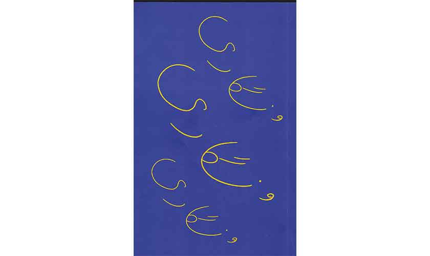 Language, culture and politics of the marginalised