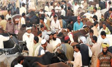 Eid ul Azha: Occupational, not optional
